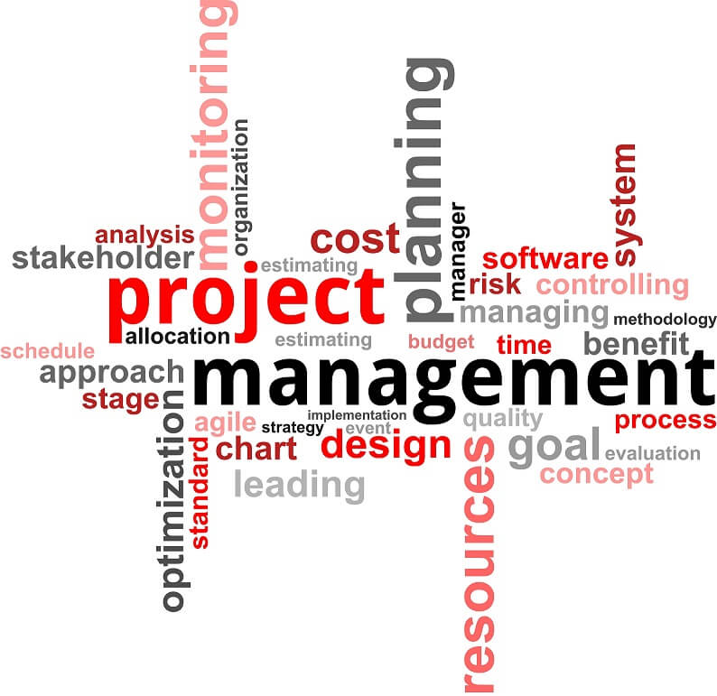 process and project management practice accomplishments