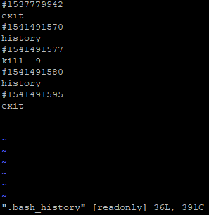 bash history