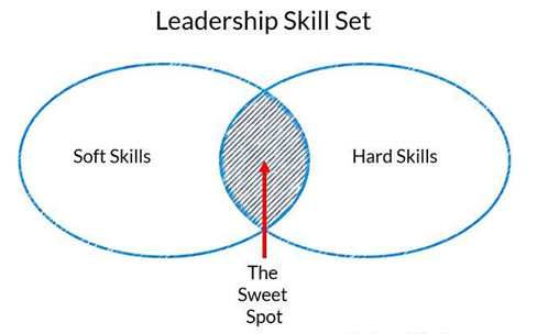 1.1 Soft skills & Hard Skills (Picture taken from: TheBusyLifestyle.com)