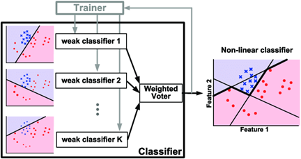 assigning the weight to the trained classifier
