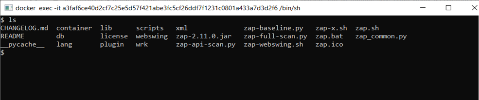 API Security testing