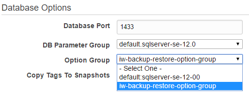 The section Database Options where you select your Option Group (iw-backup-restore-option-group)