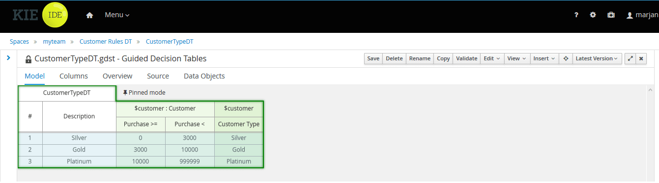 Customer Type Guided Decision Table