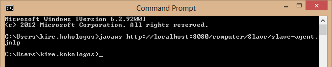 executing command javaws