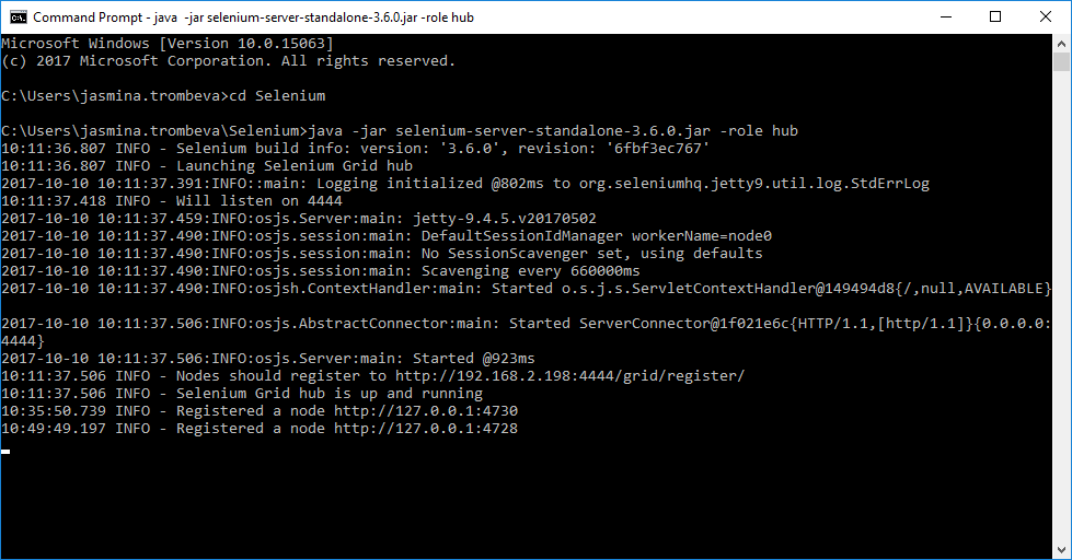 Hub with registered Appium nodes