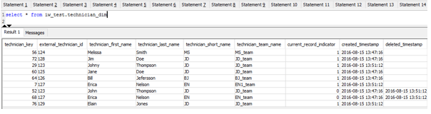 The state of technician_dim table after running the pipeline