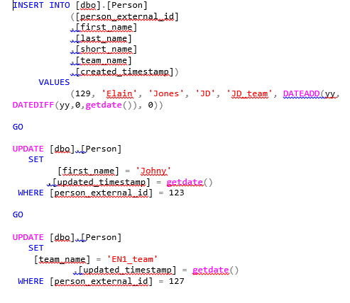 Inserting one new record and updating two of the existing records by executing SQL scripts on Person table in SQL server